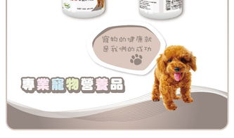 發(fā)育寶羊乳片 打造愛犬健康活力的營(yíng)養(yǎng)新選擇